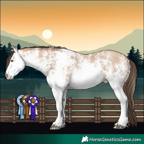 Horse Color:White Spotted Amber Champagne 