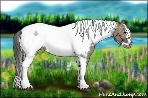 Horse Color:Grullo Splash Tobiano Frame Appaloosa 