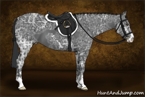 Horse Color:Black Ice Sabino