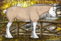 Horse Color:Silver Buckskin Roan Splash 