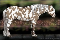 Horse Color:Liver Red Dun Near Leopard 