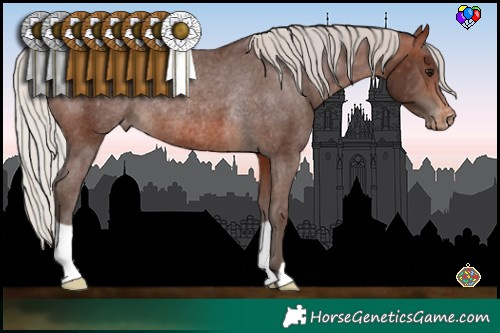 Horse Color:Silver Brown Varnish Rabicano