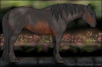 Horse Color:Brown Rabicano Brindle