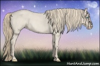 Horse Color:Smoky Creme Roan