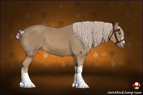 Horse Color:Palomino 