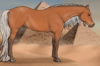 Horse Color:Silver Bay