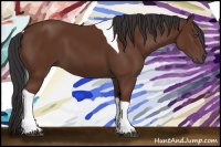 Horse Color:Bay Tobiano 