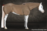 Horse Color:Chocolate Palomino Roan Sabino Splash 