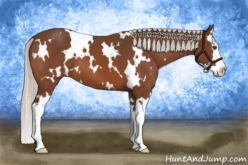 Horse Color:White Spotted Silver Bay Splash 