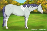Horse Color:Watercolor Amber Cream Champagne Dun Tobiano Rabicano 