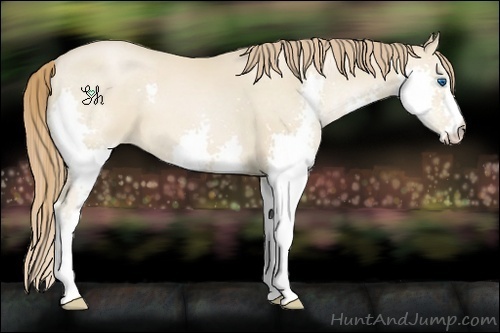 Horse Color:Smoky Black Pearl Splash