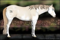 Horse Color:Smoky Black Pearl Splash 