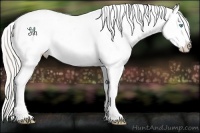 Horse Color:Gold Cream Champagne Pearl Snowflake Varnish