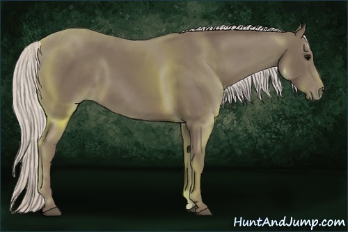 Horse Color:Silver Black