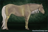 Horse Color:Silver Black 