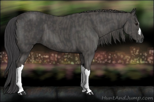 Horse Color:Smoky Black  Brindle