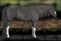 Horse Color:Smoky Black  Brindle