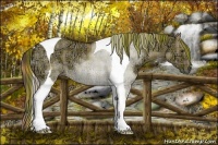 Horse Color:Plaid  Liver Red Dun Ice Tobiano 