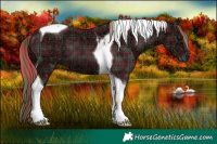 Horse Color:Plaid Liver Chestnut Ice Tobiano
