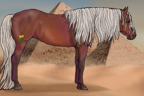 Horse Color:Silver Bay