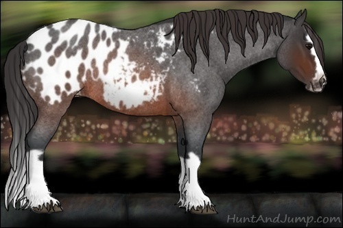 Horse Color:Brown Roan Splash Frame Blanket Rabicano