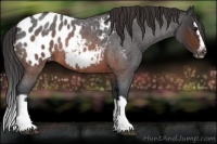 Horse Color:Brown Roan Splash Frame Blanket Rabicano