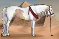 Horse Color:Nacre Silver Amber Champagne Splash Tobiano 