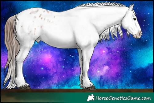Horse Color:Bay Ice Sabino Splash Tobiano Appaloosa 