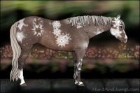 Horse Color:Silver Brown Ice Roan Sabino Rabicano