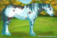 Horse Color:Thunderstruck Bay Frame 