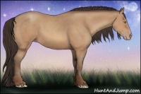 Horse Color:Amber Champagne 