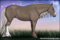 Horse Color:Silver Black 