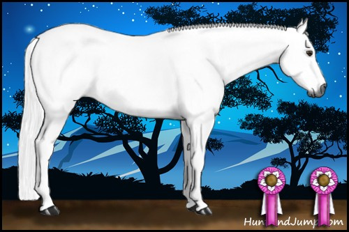 Horse Color:Gray Chestnut 