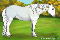 Horse Color:Gray Bay Ice Splash