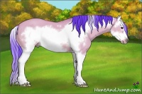 Horse Color:Watercolor Bay Dun Splash Frame