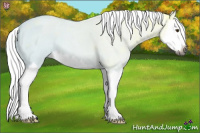 Horse Color:Gray Palomino Ice Roan Splash 