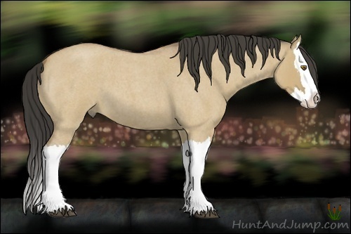Horse Color:Buckskin Roan Dun Splash 