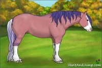Horse Color:Watercolor Grullo Splash 