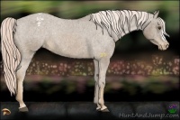 Horse Color:Chocolate Palomino Varnish 