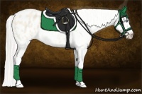 Horse Color:Cremello Tobiano Blanket