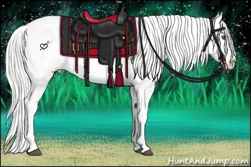 Horse Color:Silver Buckskin Roan Splash Appaloosa 