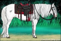 Horse Color:Silver Buckskin Roan Splash Appaloosa 