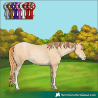 Horse Color:Smoky Black Pearl Sabino