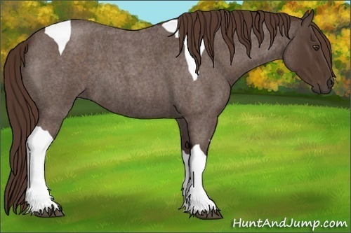 Horse Color:Liver Red Roan Tobiano