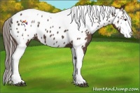 Horse Color:Liver Chestnut Splash Tobiano Near Leopard  Brindle