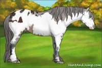Horse Color:Brown Splash Frame Blanket