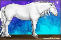 Horse Color:White Spotted Silver Black Chinchilla Splash Tobiano Frame Appaloosa