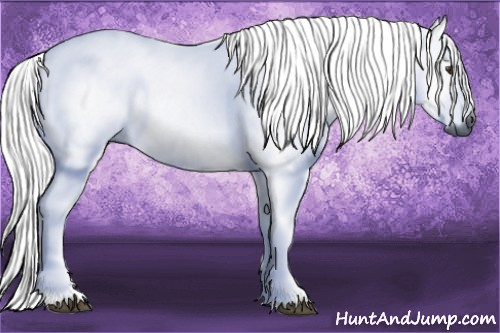 Horse Color:Gray Silver Bay