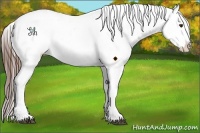 Horse Color:Liver Chestnut Sabino Blanket
