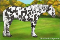 Horse Color:Liver Chestnut Mushroom Near Leopard 